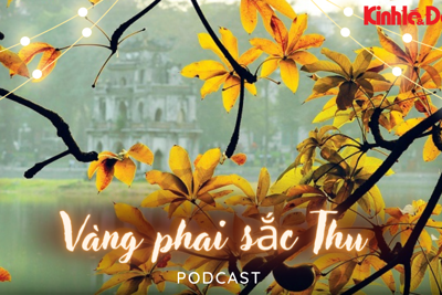 Podcast: Vàng phai sắc Thu