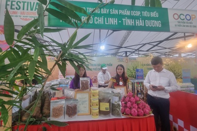 Hải Dương: Mong muốn đem nhiều sản phẩm người Việt ưu tiên dùng hàng Việt