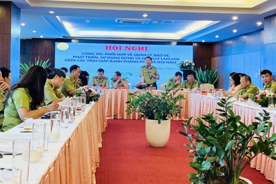 Hà Nội và các tỉnh liên kết quản lý, bảo vệ rừng giáp ranh