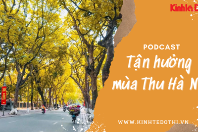 Podcast: Tận hưởng mùa Thu Hà Nội