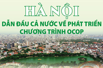 Hà Nội dẫn đầu cả nước về phát triển Chương trình OCOP