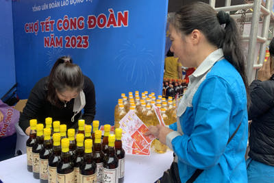 5 năm, Công đoàn Việt Nam đã đề xuất nâng mức lương tối thiểu tăng 23,3%