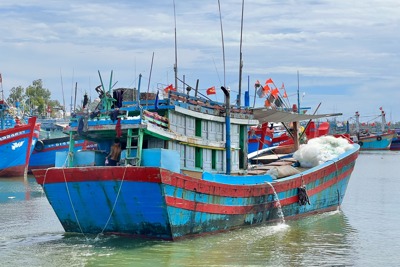 Quảng Ngãi: Một chủ tàu cá bị phạt hơn 850 triệu đồng