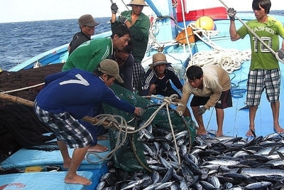 Thực hiện nhiệm vụ, giải pháp cấp bách chống khai thác hải sản bất hợp pháp