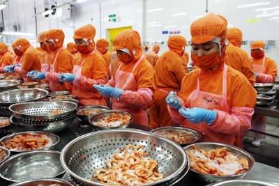 Nông sản xuất khẩu Việt Nam đối mặt nhiều rào cản 