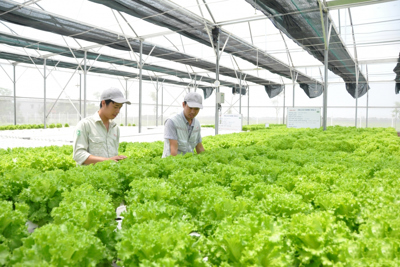 Nông nghiệp Hà Nội giữ nhịp tăng trưởng