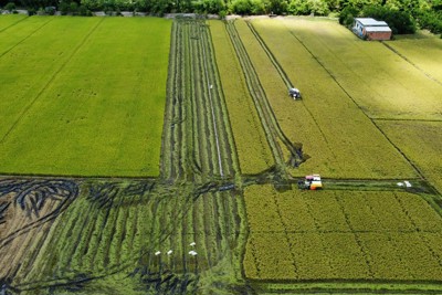 Kỳ vọng nông sản ĐBSCL 'cất cánh' nhờ trung tâm liên kết 