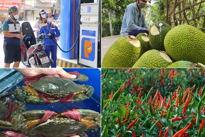 Tiêu dùng trong tuần (2-8/10/2023): Giá ớt tăng vọt, mít Thái giảm còn 5.000 đồng/kg