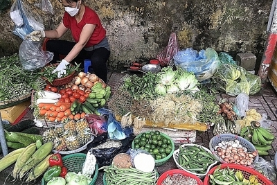 Hà Nội: Tăng cường kiểm soát, nâng cao chất lượng nông lâm thủy sản