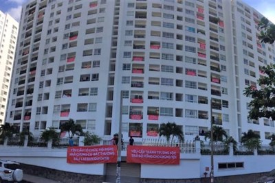 Hơn 75.000 căn nhà bị "treo" sổ hồng, Sở TN&MT TP Hồ Chí Minh nói gì?
