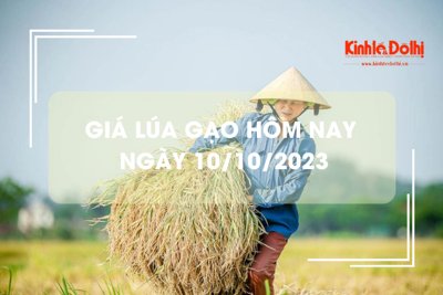 Giá lúa gạo hôm nay 10/10/2023: Giá gạo tăng nhẹ