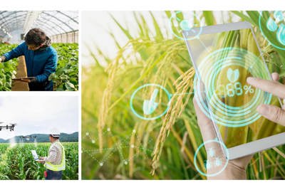 Hà Nội sẽ có Cơ sở dữ liệu dùng chung ngành nông nghiệp vào năm 2025