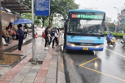 Transerco đưa xe buýt Hà Nội tăng trưởng mạnh 9 tháng đầu năm