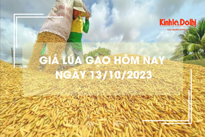 Giá lúa gạo hôm nay 13/10/2023: Duy trì đà tăng