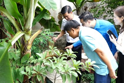 Huyện Thanh Oai: Duy trì vệ sinh môi trường phòng chống dịch sốt xuất huyết