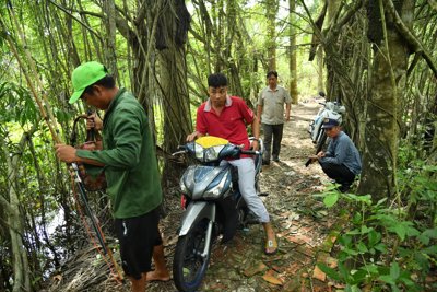 Kiên Giang: Hàng chục người ngày đêm truy bắt 6 con cá sấu xổng chuồng