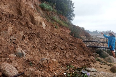 Hà Tĩnh: Đất đá, cây cối dọc bờ biển bị sạt lở nghiêm trọng