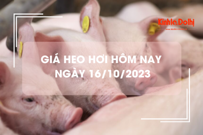 Giá heo hơi hôm nay 16/10/2023: Duy trì ổn định trên cả ba miền