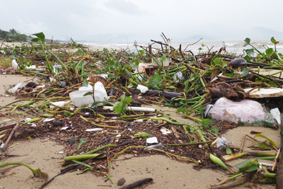 Sau trận mưa lớn, rác phủ kín bờ vịnh Đà Nẵng