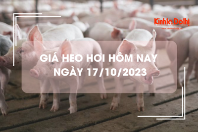 Giá heo hơi hôm nay 17/10/2023: Giảm mạnh nhất 3.000 đồng/kg