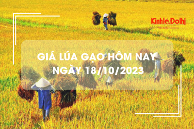 Giá lúa gạo hôm nay 18/10/2023: Giá gạo tiếp đà tăng cao 