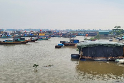 Hà Tĩnh: Người nuôi trồng thủy sản chủ động ứng phó với mưa bão