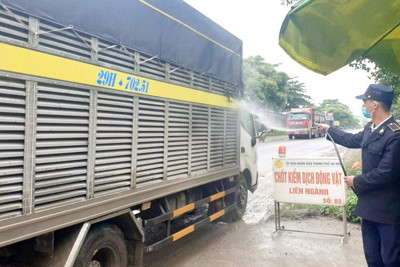 Hà Nội: Siết chặt vận chuyển gia súc, gia cầm không rõ nguồn gốc