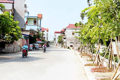 Hà Nội sẽ sớm hoàn thành mục tiêu huyện nông thôn mới nâng cao