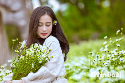 Giới trẻ đổ xô check-in vườn cúc hoạ mi tại thảo nguyên hoa Long Biên