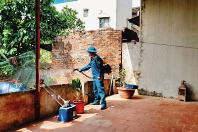 Huyện Thanh Trì: Tăng cường kiểm soát, phòng chống dịch sốt xuất huyết