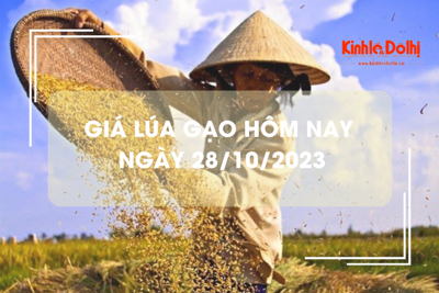 Giá lúa gạo hôm nay 28/10/2023: Tiếp đà tăng nhẹ