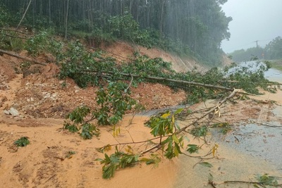 Hà Tĩnh: Chủ động ứng phó mưa lũ, sạt lở đất nghiêm trọng