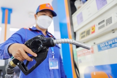 Dự báo giá xăng dầu sẽ đồng loạt giảm vào ngày mai (13/11)
