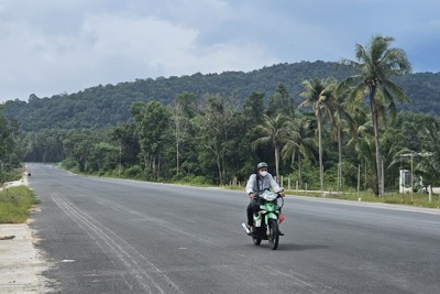 Phú Quốc: Dự án trục đường Nam - Bắc vướng đất rừng