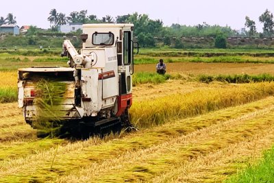 Sản xuất nông nghiệp chủ động thích ứng trước biến đổi khí hậu