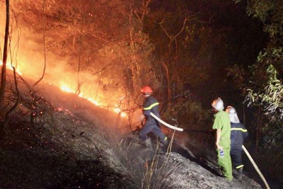 Chủ động ứng phó nguy cơ cháy rừng mùa khô tại Hà Nội