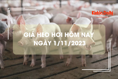 Giá heo hơi hôm nay 1/11/2023: Tăng rải rác 1.000 đồng/kg