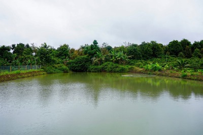 Giải pháp ứng phó khô hạn tại miền Trung - Tây Nguyên