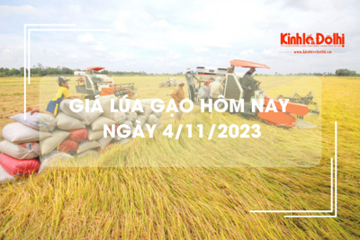Giá lúa gạo hôm nay 4/11/2023: Giá gạo thành phẩm tăng 200 đồng/kg