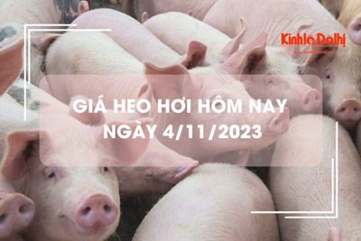 Giá heo hơi hôm nay 4/11/2023: Đồng loạt đi ngang