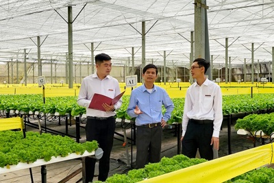 Agribank điều chỉnh giảm lãi suất hỗ trợ khách hàng phục hồi sau dịch Covid-19