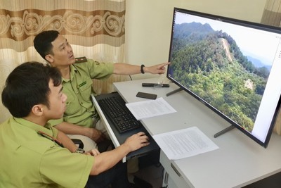 Hà Nội chuyên nghiệp hóa quản lý rừng
