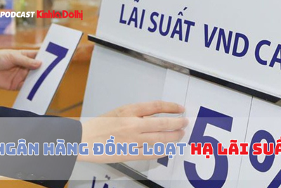  Ngân hàng đồng loạt hạ lãi suất