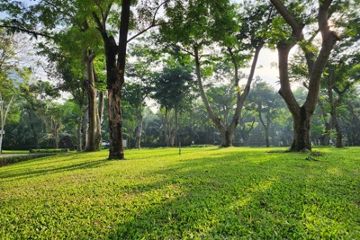 TP Hồ Chí Minh: Đẹp và lãng mạn những ngày cuối thu 