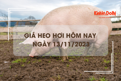 Giá heo hơi hôm nay 13/11/2023: Lặng sóng trên cả ba miền