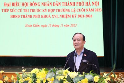 Cử tri kiến nghị không tổ chức giải chạy ban đêm ở tuyến phố đi bộ