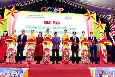 Khai mạc tuần hàng tư vấn, giới thiệu sản phẩm OCOP, làng nghề tại Thanh Trì