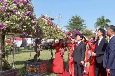 Khai mạc Lễ hội cây cảnh hoa giấy Phù Đổng năm 2023