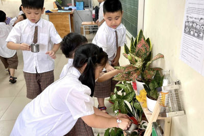 Những hành động thiết thực bảo vệ môi trường ở một trường tiểu học