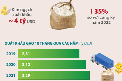 Xuất khẩu gạo của Việt Nam thiết lập kỷ lục mới